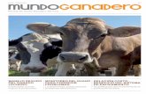 MONITOREO DEL GUANO - infolactea.com · MONITOREO DEL GUANO PARA CORREGIR PROBLEMAS. La observación puede detectar ... La nutrición de la vaca y del ternero en el período periparturiento