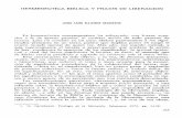 HERMENEUTICA BIBLlCA y PRAXIS DE LlBERACIONdadun.unav.edu/bitstream/10171/6098/1/JOSE LUIS ILLANES MAESTRE.pdf · BOFF, Teología de lo político, Salamanca 1980, p. 261; una frase