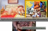 Agricultura biotecnol³gica y Seguridad .Pedro Casta±era Dom­nguez . CONTENIDOS ... de alimentos