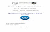 Diagnóstico Organizacional de la Mutual Conexiónbibliotecadigital.econ.uba.ar/download/tpos/1502-1097...C ARRERA DE E SPECIALIZACIÓN EN E CONOMÍA S OCIAL Y DESARROLLO LO CAL T