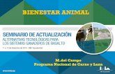 1 Bienestar Animal en Uruguay a) Mutilacionesinia.uy/Documentos/Públicos/INIA Salto Grande/2015/2015_07_15... · • Castración y descole en ovinos • Mortalidad neonatal en ovinos