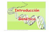 Tema 1: Introducción a la Genéticaecaths1.s3.amazonaws.com/geneticaveterinaria/482543154... · 2017-03-30 · Introducción Genética Algunas figuras y tablas fueron extraídas