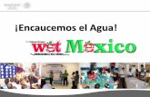 ¡Encaucemos el Agua! - pnuma.org · • En el marco de la Reforma Integral de la Educación Básica en México Encaucemos el agua se mantuvo en receso para reaparecer con mayor fortaleza