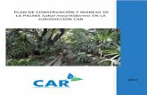 PLAN DE CONSERVACIÓN Y MANEJO DE LA PALMA Sabal ... · Mapa de presencia de Sabal mauritiiformis ... de la gestión ambiental de la Región, atiende estos lineamientos para ser aplicados
