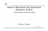 Banco Nacional de Comercio Exterior, S.Ndusselpeters.com/2003-foro-tecoman_bancomext.pdf · • Entregar el formato de evaluación del PAT, sección conclusión y seguimiento. Emitir