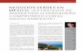 NEGOCIOS VERDES EN MÉXICO: ¿ESTRATEGIA DE … · para el medio ambiente. Dependiendo del enfoque que se le esté dando a una empresa, ésta puede ser categorizada como verde tal