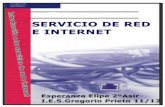 Introducción a los servicios de red e internet. · TEMA-1 Red de área ... Las redes de área amplia (WAN) son redes informáticas que se extienden sobre un área geográfica extensa.