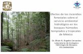 Efectos de los incendios forestales sobre el servicio ambiental ... · BMM=Bosque Mesofilo de montaña; BOYAM=Bosques de Oyamel; PAM=Pradera de alta montaña) . 0 50000 100000 150000