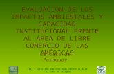 EVALUACIÓN DE LOS IMPACTOS AMBIENTALES Y … · PPT file · Web view2004-08-16 · Impactos ambientales totales proyectados para los rubros seleccionados en el Escenario Eventual