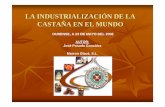 LA INDUSTRIALIZACIÓN DE LA CASTAÑA EN EL MUNDOmediorural.xunta.gal/fileadmin/arquivos/publicacions/4_JOSE_POSADA.pdf · Castañas turcas procesadas en Italia.