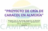 Proyecto de Cría de Caracol en Almería - efacampomar.esa-de... · •Sistema circulatorio •Sistema digestivo •Sistema respiratorio •Sistema sensorial. •Sistema reproductor.