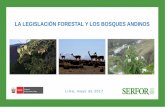 LA LEGISLACIÓN FORESTAL Y LOS BOSQUES ANDINOSbosquesandinos.org/wp-content/uploads/2017/05/La-legislación... · OTORGAMIENTO DE BOSQUES LOCALES 20 Los interesados organizados solicitan