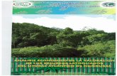 Utilizaci6n industrial de Especies Forestales Menos Conocidas 94/pd 47-94-12 rev 3... · "Utilizaci6n industrial de Especies Forestales Menos Conocidas ... El nivel de impacto ambiental