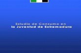 Estudio consumo final - Consejo de la Juventud de Extremadura · Estudio sobre el Consumo en la Juventud de Extremadura 3 Índice : 1.- Planteamiento del estudio realizado. 1.1.-