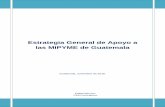 Estrategia General de Apoyo a las MIPYME de Guatemalafodemipyme.com/images/fichabasica/ApoyoMipyme.pdf · Asociación de Exportadores de Guatemala y la Federación de la Pequeña
