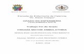 Escuela de Enfermería de Palencia “Dr. Dacio Crespo”uvadoc.uva.es/bitstream/10324/24721/1/TFG-L1590.pdf · Por tanto, se trata de una forma distinta de organizar el trabajo quirúrgico,