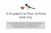 Si el pájaro la pica, la fresa está rica.redis.webs.uvigo.es/CTC/Present8CTC/G3D.pdf · fresas. Emplazamiento ... Cultivo en varias alturas Mayor producción en un mismo área Estructuras