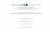 UNIVERSIDAD CATÓLICA ANDRÉS BELLO - UCABbiblioteca2.ucab.edu.ve/anexos/biblioteca/marc/texto/AAS8118.pdf · EVALUACIÓN DE FACTIBILIDAD PARA LA CONSTRUCCIÓN DE UN ... La Empresa