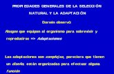 PROPIEDADES GENERALES DE LA SELECCIÓN NATURAL Y …docencia.udea.edu.co/cen/mecanismos-evolucion/pdf_files/mecanismos/... · las suturas craneales en mamíferos, aves y reptiles.