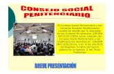 El Consejo Social Penitenciario y los Consejos Sociales ... · El Consejo Social Penitenciario y los Consejos Sociales Penitenciarios Locales se regirán por lo dispuesto en las Ordenes