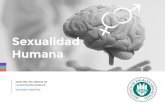 Sexualidad Humana - enlace.edu.mx · ORGANIZADOR GRÁFICO.....5 1 1. VISIÓN DE LAS NEUROCIENCIAS.....6 1 2. ... madre-hijo, como única y fundamental en la construcción de la vida