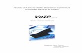 VoIP - Departamento de Sistemas e Informática · Motorola ING presenta VOFR™ (Voz sobre Frame Relay) y VOIP (Voz sobre IP) utilizando la ... De esta forma no tenemos ningún problema