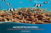 ACIDIFICACIÓN - eu.oceana.org · las cadenas alimenticias y en los propios ecosistemas. ... Para evitar la pérdida de los arrecifes de coral, y en última instancia, impedir importantes