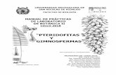 “PTERIDOFITAS - bios.biologia.umich.mxbios.biologia.umich.mx/obligatorias/botanica/manual_pteridofitas... · didáctica útil para el estudiante. En el presente manual se incluyen