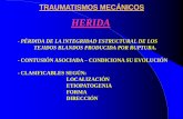 HERIDA - UCM-Universidad Complutense de Madrid Traumatismos II... · -estructural * pÉrdida de sostÉn y transmisiÓn de fuerzas . traumatismos mecÁnicos lesiones con pÉrdida de