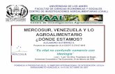MERCOSUR, VENEZUELA Y LO AGROALIMENTARIO … · fuertes exportadores de soya, aceite de soya, torta de soya, arroz, carne y productos lÁcteos (quesos, leche en polvo) 2004. fuente: