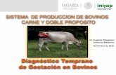 Diagnóstico Temprano de Gestación en Bovinos · Describir la importancia del diagnostico ... Una vaca se declara preñada si no se ha observado en celo por lo menos 60 días despues