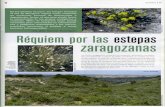 Réquiem por las estepas zaragozanas - Blog sobre noticias ... · norte de África, con ontina (Artemisia herba-alba) y sisallo (Salsola vermiculata), plantas grises para protegerse