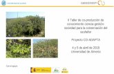 Presentación de PowerPoint - caescg.org · Proyecto CO-ADAPTA 4 y 5 de abril de 2018 Universidad de Almería . 1996 2015 Los matorrales arborescentes de Ziziphus y Maytenus: ...