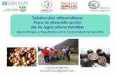 Tubérculos altoandinos: Para la diversificación de la ... · Las papas en Los Andes venezolanos . ... no sólo los materiales, sino los sistemas de manejo y diversificación ...