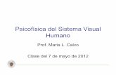 Psicofísica del Sistema Visual Humanowebs.ucm.es/info/giboucm/images/ml_calvo/fv 7 mayo.pdf · Discriminación (ej. medidas de umbrales máximos) de estímulos (ej. tipo sinusoidal,