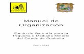 MANUAL DE ORGANIZACIÓN - sefincoahuila.gob.mx · • Apoyar en las labores de solventación de la Auditoria Superior del Estado y de la Secretaria de Fiscalización y rendición