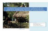 Evaluación socioeducativo-cultural de los pueblos indígenas³n socioeducativa-cultural de los pueblos indígenas Acceso y permanencia y éxito en la Educación Superior Costarricense