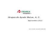 Grupos de Ayuda Mutua, A. C. - ptq.pemex.com.mx · Primer Comité Local de Ayuda Mutua (CLAM) a nivel nacional, integrado inicialmente por: ... garantizar un ambiente seguro de trabajo,