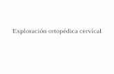 Exploración ortopédica cervical - Centro Integral de ... · Existen unos test de seguridad que van a ser positivos en caso de lesiones destructivas como: ... •Maniobra de Valsalva.