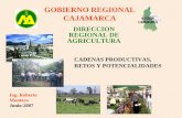 GOBIERNO REGIONAL CAJAMARCA - infolactea.com · Cajamarca 4 2 2 4 4 79 Produccion de leche ... Mapa de actores indirectos de actores indirectos ... Matriz de cálculo de costos y