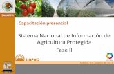 Sistema Nacional de Información de Agricultura Protegida ...encuestascontinuas.siap.gob.mx/siapro/archivos/Costos_coeficientes... · los costos variables unitarios. ... región y