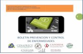 DIRECCION DE PREVENC ION Y PROMOCION …saludsinaloa.gob.mx/wp-content/uploads/2017/files...2 INDICE 1.-Introducción .. 3 2.-Adulto ... 3 Introducción Las Políticas de Salud proyectan
