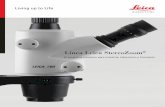 Línea Leica StereoZoom · 2013-06-07 · del objetivo corregido óptimamente. ... microscopio estereoscópico inclinado ... el aumento, la distancia de trabajo y, al mismo tiempo