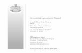 Universidad Autónoma de Nayarit - ceddi.uan.mx bajes doc oficiales/primerinforme.pdf · El presente documento es un recuento de acciones y hechos, con cifras, descripciones y conceptos