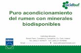 Puro acondicionamiento del rumen con minerales biodisponibles acondicionamiento del... · Acido neutralizado por piedra caliza y Acid Buf a pH 5.5 Procedimiento • 2.5g de muestra