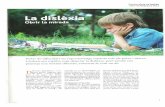 Revista Viure en família · El costat positiu de la dislèxia ... Ron Davis (1999): El don de la dislexia. Pozuelo d'Alarcón. Editex Rafael de Mora (2010): El alma del disléxico,