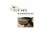 ETIÓPICO - Fundación Sur · 2017-04-27 · ORIGEN DE LAS LENGUAS DE ETIOPÍA……. ………. ... llevando la voz cantante en la dirección de estudio de las mismas, son de la