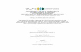 UNIVERSIDAD CATÓLICA ANDRÉS BELLO VICERECTORADO …biblioteca2.ucab.edu.ve/anexos/biblioteca/marc/texto/AAT4712.pdf · A el grupo de profesores de la especialización en Gerencia