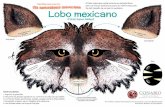 Mascara Lobo mexicano - paismaravillas.mx · Es del tamaño de un perro mediano. Lobo mexicano e por abajo e por abajo eada. eada. ás za. ás za. Recorta las líneas punteadas naranja