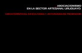 ASOCIACIONISMO EN LA SECTOR ARTESANAL URUGUAYO … · el asociacionismo en el plan estratÉgico _b Existen enfoques diferentes de los artesanos en cuanto a la asociativismo: Algunos